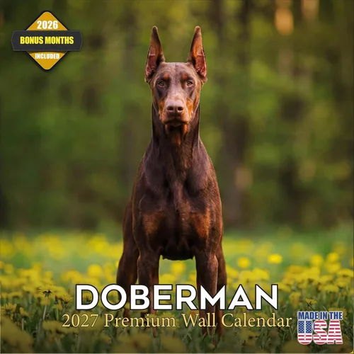 Vista 137 de Calendario de Lebrel Afgano 2025 2026, calendario mensual de pared de raza canina, 12" x 18" abierto, papel grueso sin traspaso, ideal para regalo