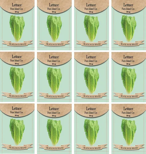 Vista 9 de Juego de 12 paquetes de semillas de verduras de roqueta de rúcula, crea un jardín de lujo, todas las semillas son reliquias, 100% sin OMG