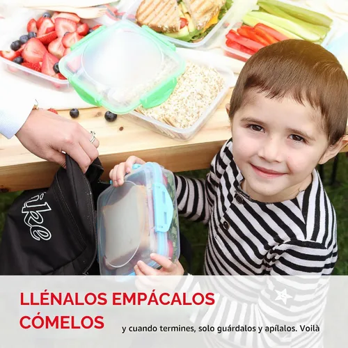 Vista 2 de Tafura Recipientes y cajas para sándwiches de alta calidad, sin BPA, para loncheras, duradero y reutilizable, soporte para sándwiches para mayor