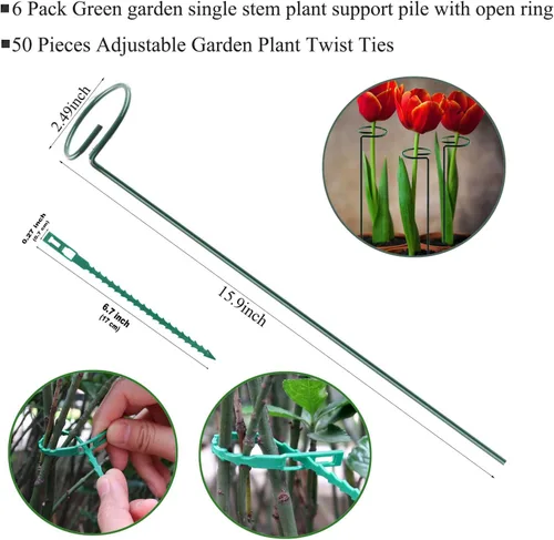 Vista 2 de Soporte de estaca para plantas, paquete de 6, anillos de soporte de jaula de plantas de un solo tallo para jardín, estacas de soporte para plantas