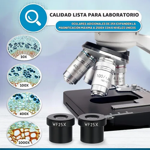 Vista 3 de AmScope B120C Siedentopf microscopio binocular compuesto, aumento de 40X-2000X, iluminación LED, condensador Abbe, plataforma mecánica de doble capa.