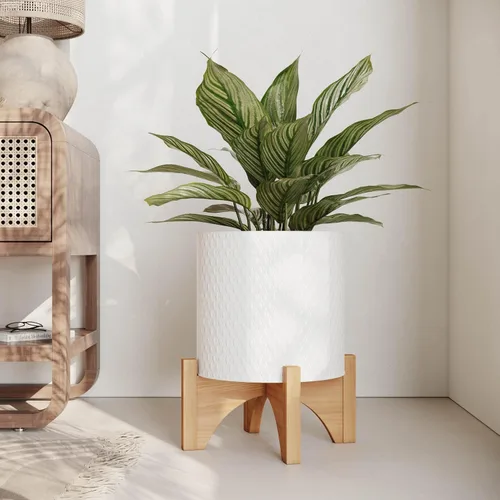 Vista 5 de EverNest Claire Maceta blanca moderna bohemia con soporte de madera de arco, maceta de interior de mediados de siglo, base SelectBase, soporte