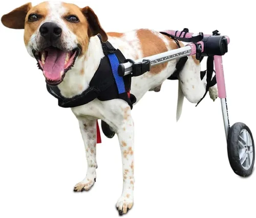 Vista 8 de Silla de ruedas de perro para perros pequeños, 26 a 69 libras, de Walkin' Wheels, 2, Azul
