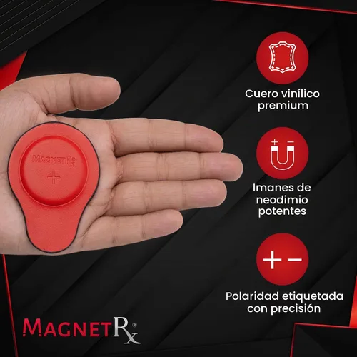 Vista 4 de Kit de Imanes Biomagnéticos MagnetRX® – Imanes terapéuticos de neodimio para biomagnetismo – Dr Goiz Imanes para Par Biomagnético – Imanes