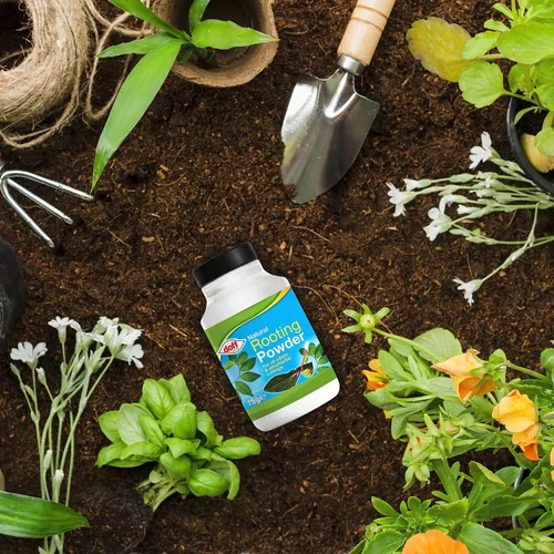 Vista 7 de Doff Planta y esquejes del polvo de enraizamiento de la hormona 2.65 oz Dibber Pack Rootings Power