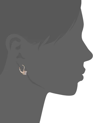 Vista 5 de Tienda Essentials Sterling Silver Princess Cut Leverback Earrings made with Infinite Elements Cubic Zirconia (previously Tienda Collection)
