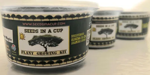 Vista 9 de Kit de cultivo de hierbas Iniciador de jardín de hierbas para interiores Semillas y tierra de primera calidad Paquete de 3 hierbas Múltiples