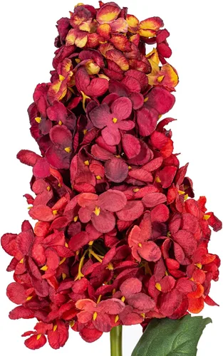 Vista 2 de Vickerman Espray de hortensias de cono artificial burdeos de 35.5 pulgadas, 2 por bolsa.