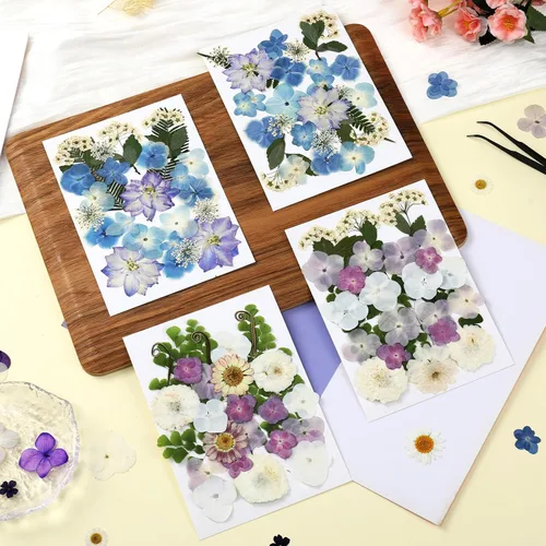 Vista 2 de 100 piezas de flores prensadas secas de hortensias para manualidades de Hortensia 100pcs