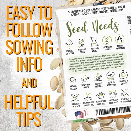 Vista 4 de Seed Needs Semillas de calabaza para plantar calabazas pequeñas de tarta de azúcar, semillas de verduras sin OMG y sin tratar para plantar un huerto