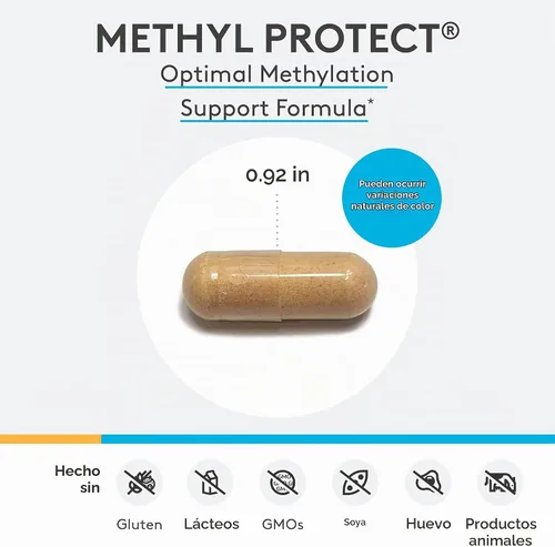 Vista 7 de XYMOGEN Methyl Protect - Fórmula de metilación óptima con folato de metilo, vitamina B12 (metilcobalamina b12), riboflavina + vitaminas B6