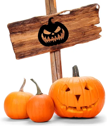 Vista 7 de Plantillas decorativas de calabazas de Halloween de 16 piezas de plantillas de calabaza de plástico reutilizables de dibujo de calabaza plantillas