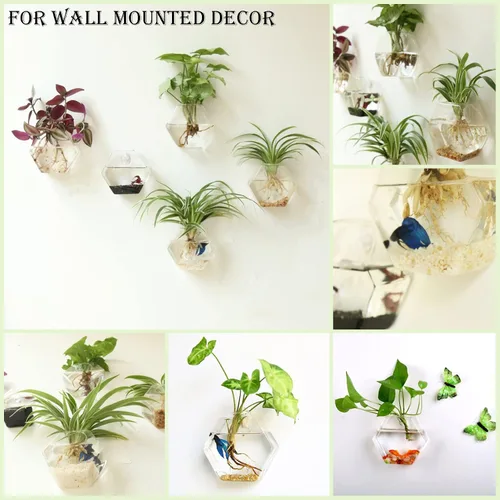 Vista 2 de Kingbuy Juego de Macetas Hexagonales de Pared - Paquete de 3 Jarrones de Terrario de Propagación de Vidrio con Soportes Colgantes para Plantas
