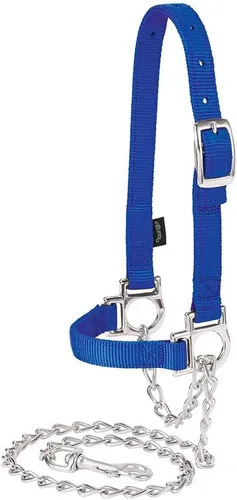 Vista 5 de Weaver - Cabestro de oveja ajustable de nailon con cadena Azul (Hurricane Blue)