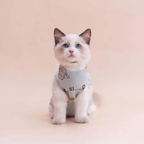 Vista 6 de PUMYPOREITY Traje de recuperación de gato – Mameluco de gatito para castrado/herida abdominal/daño en la piel/destete, azul, XS