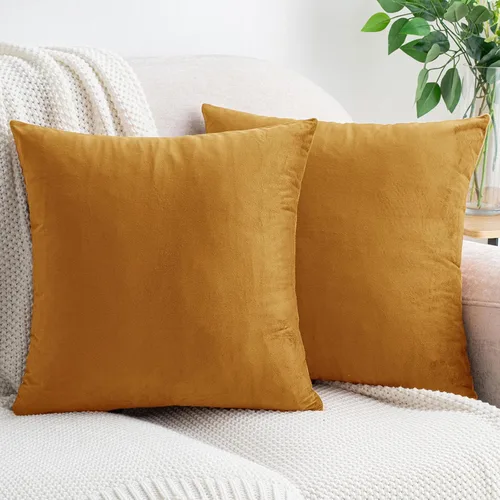 Vista 64 de HWY 50 fundas de almohada decorativas de terciopelo sólido para sofá, sala de estar., Terciopelo, gris, 20x20 pulgadas