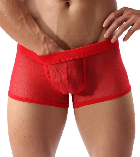 Vista 2 de Calzoncillos tipo bóxer de malla transpirable para hombre, lencería hueca transparente