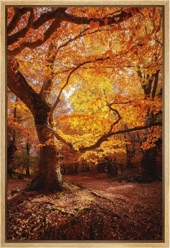 Vista 32 de SIGNWIN Lienzo enmarcado para pared, decoración de guardería de bosques, pájaros voladores, acuarela, montaña, bosque, naturaleza, arte moderno