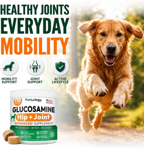 Vista 2 de Glucosamina para perros - Suplemento de cadera y articulaciones para perros - 170 masticables de movilidad - Glucosamina condroitina - MSM - Cúrcuma