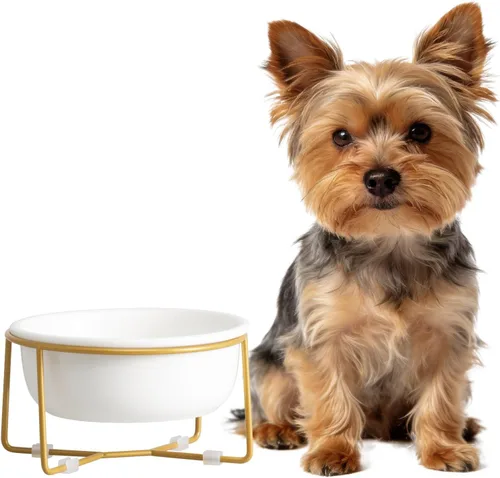 Vista 15 de Cuenco elevado de vidrio pequeño inclinado para gatos y perros, plato elevado para comida para gatos, plato de agua para mascotas, cuencos