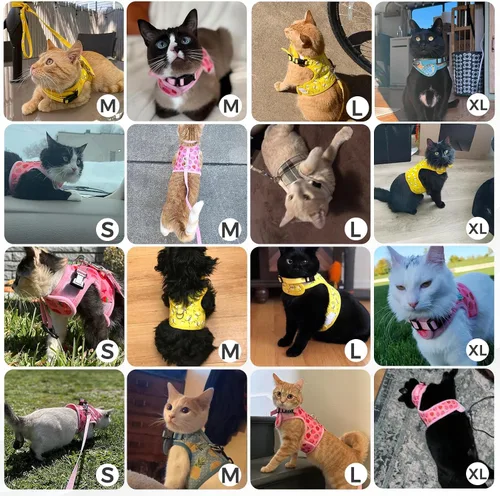 Vista 5 de BINGPET Arnés para gatos con correa y collar para caminar, a prueba de escapes, con correa de 59 pulgadas, arnés de chaleco suave ajustable