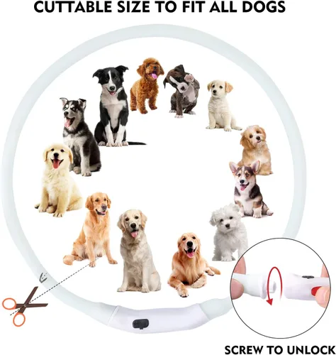 Vista 5 de Collar para perro LED multicolor, collar para perro recargable con 7 colores de luz intermitente, luces para perros que hacen que las mascotas sean