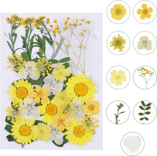 Vista 14 de Augshy Juego de flores secas prensadas reales con calcomanías transparentes de mariposa, calcomanías para álbumes de recortes, flores secas