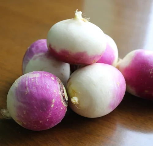 Vista 5 de TKE Farms & Gardens - Semillas de nabo púrpura para plantar, 0.44 onzas, 5000 semillas de reliquia, sin OMG, el paquete incluye instrucciones