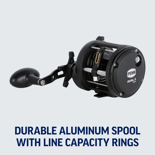 Vista 7 de Penn Rival II Level Wind Conventional Rod and Reel Combo