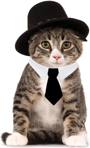 Vista 7 de HUYADAPI Pajarita para mascotas, ajustable, formal, corbata para el cuello y disfraz de la compañía de disfraces, sombrero de copa para gatos