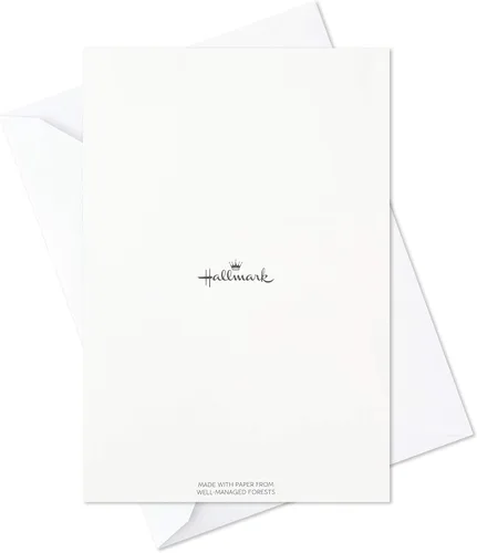Vista 7 de Hallmark - Juego de tarjetas de cumpleaños, 24 tarjetas con sobres (letras arcoíris, el mejor día de todos)