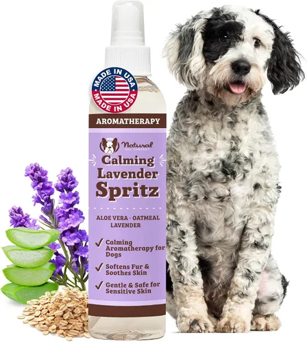Vista 10 de Natural Dog Company Itchy - Champú para perros – Champú hipoalergénico para perros para aliviar la picazón en la piel, aloe vera, jojoba, algas