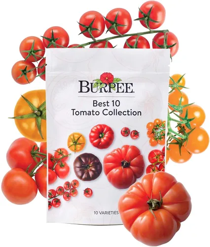 Vista 13 de Colección Burpee Best 10 Paquetes de Mezcla Fresca Sin OGM de Pimiento Picante y Variedades Dulces Jalapeño, Semillas de Pimiento Morrón y Más
