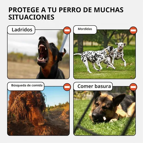 Vista 4 de CollarDirect Bozal de cuero para cesta, GSD y Doberman (negro, grande)