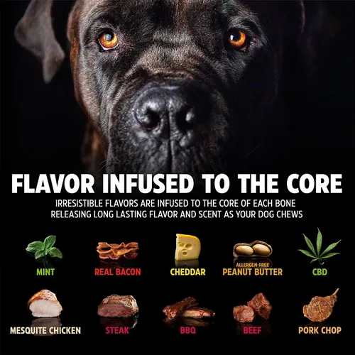 Vista 5 de Pet Qwerks Dinosaur BarkBone - Hueso de perro de nailon para masticadores agresivos, sabor tocino, 6.5 pulgadas
