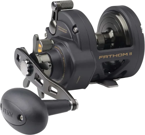Vista 5 de Penn Fathom II Star Drag - Carrete de pesca convencional, oro negro, 25N
