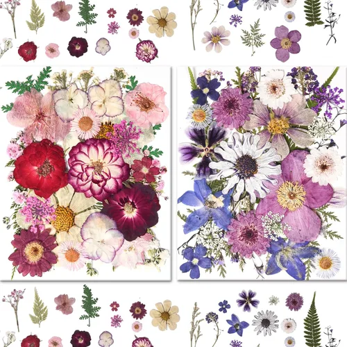 Vista 2 de 184 PCS Real Pressed Dried Flowers and Leaves for Resin Multi
