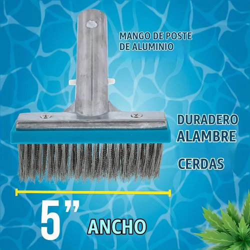 Vista 3 de U.S. Pool Supply - Cepillo de piscina para piscinas enterradas - Cabezal de cepillo de piscina de 5" de acero inoxidable, cerdas de alambre
