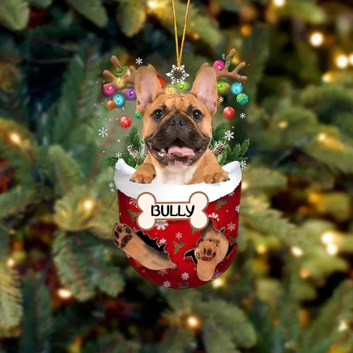 Vista 196 de IZI POD Affenpinscher Adorno de Navidad personalizado para perro, adorno de bolsillo de nieve para perro para árbol de Navidad, adorno acrílico