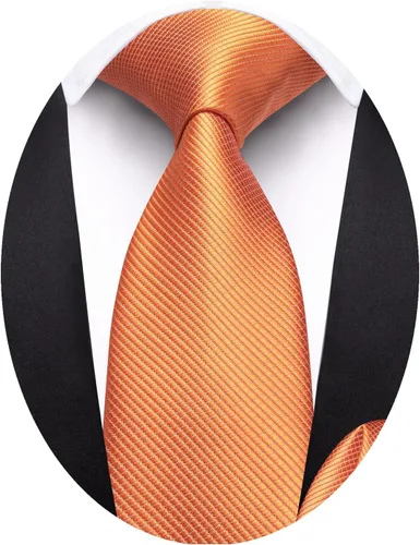 Vista 299 de Barry.Wang Corbata de niño regular seda tejida rayas sólido lazo bolsillo cuadrado