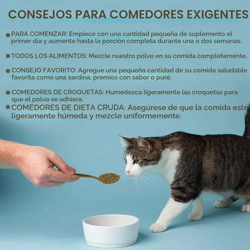 Vista 5 de The Missing Link Fórmula de algas marinas para mascotas, Gato, 6 onza