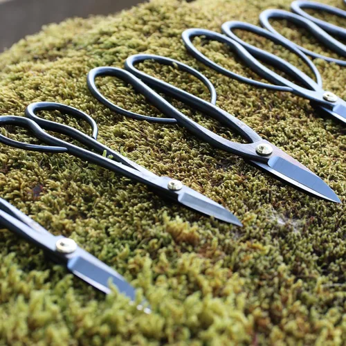 Vista 2 de KAKURI Tijeras de bonsái fabricadas en Japón de 8 pulgadas, hoja japonesa de acero al carbono, tijeras de bonsái de precisión para poda y recorte