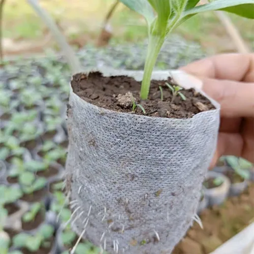 Vista 5 de 100pcs Biodegradable Non-Woven Fabric Seedling Pots - Eco-Friendly Garden Grow Bags for Seed Starting and Transplanting(20x20cm)