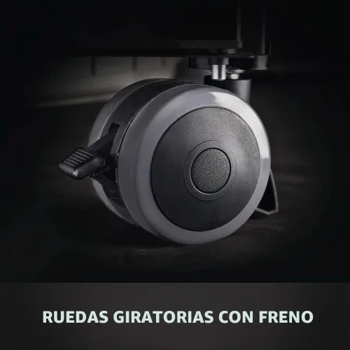 Vista 14 de Napoleon P665NSS Prestige 665 Parrilla de gas natural