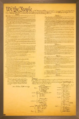 Vista 14 de Trends International Póster de pared de The Constitution, 14.725 x 22.375 pulgadas, versión enmarcada de madera de granero Versión enmarcada Barnwood