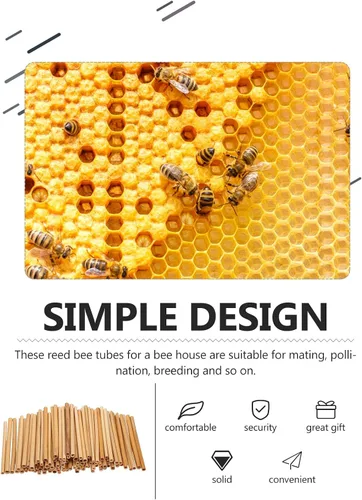 Vista 8 de 100 tubos de abeja de caña, tubos naturales de abeja, repuesto de tubo de abeja, tubos de casa de abejas masón, insertos de cartón, suministros