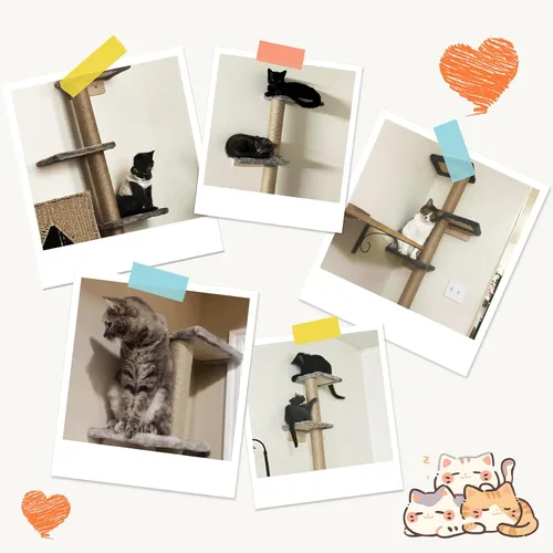 Vista 6 de PAWSCRAT Árbol para gatos montado en la pared, torre para gatos de piso a techo de 5 niveles, poste rascador para gatos montado en la pared de 80
