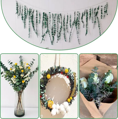 Vista 4 de 20 tallos de eucalipto seco preservado, ramas de eucalipto natural de 17 pulgadas para ducha, planta real para relleno de jarrón, arreglo de flores