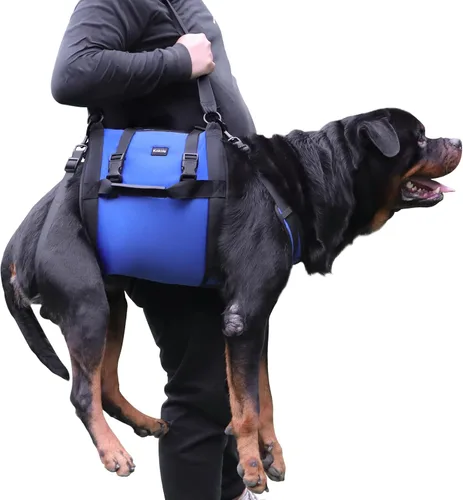 Vista 5 de Arnés de elevación para perros, mochila de emergencia para soporte de patas y rehabilitación para perros grandes, lesiones en las articulaciones