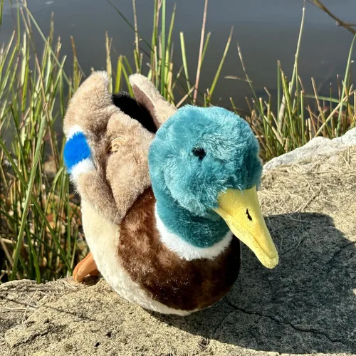 Vista 5 de The Petting Zoo Peluche de pato, regalos para niños, animales salvajes de la vida silvestre, juguete de peluche de pato, 12 pulgadas